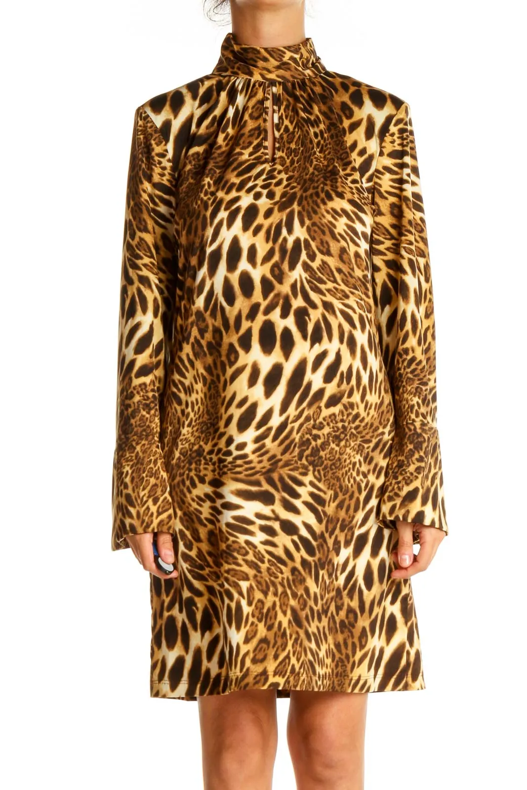 Brown Animal Print Day Sheath Dress